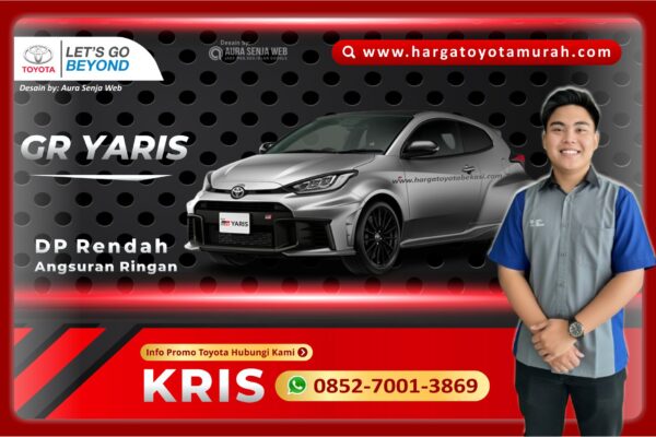 GR Yaris